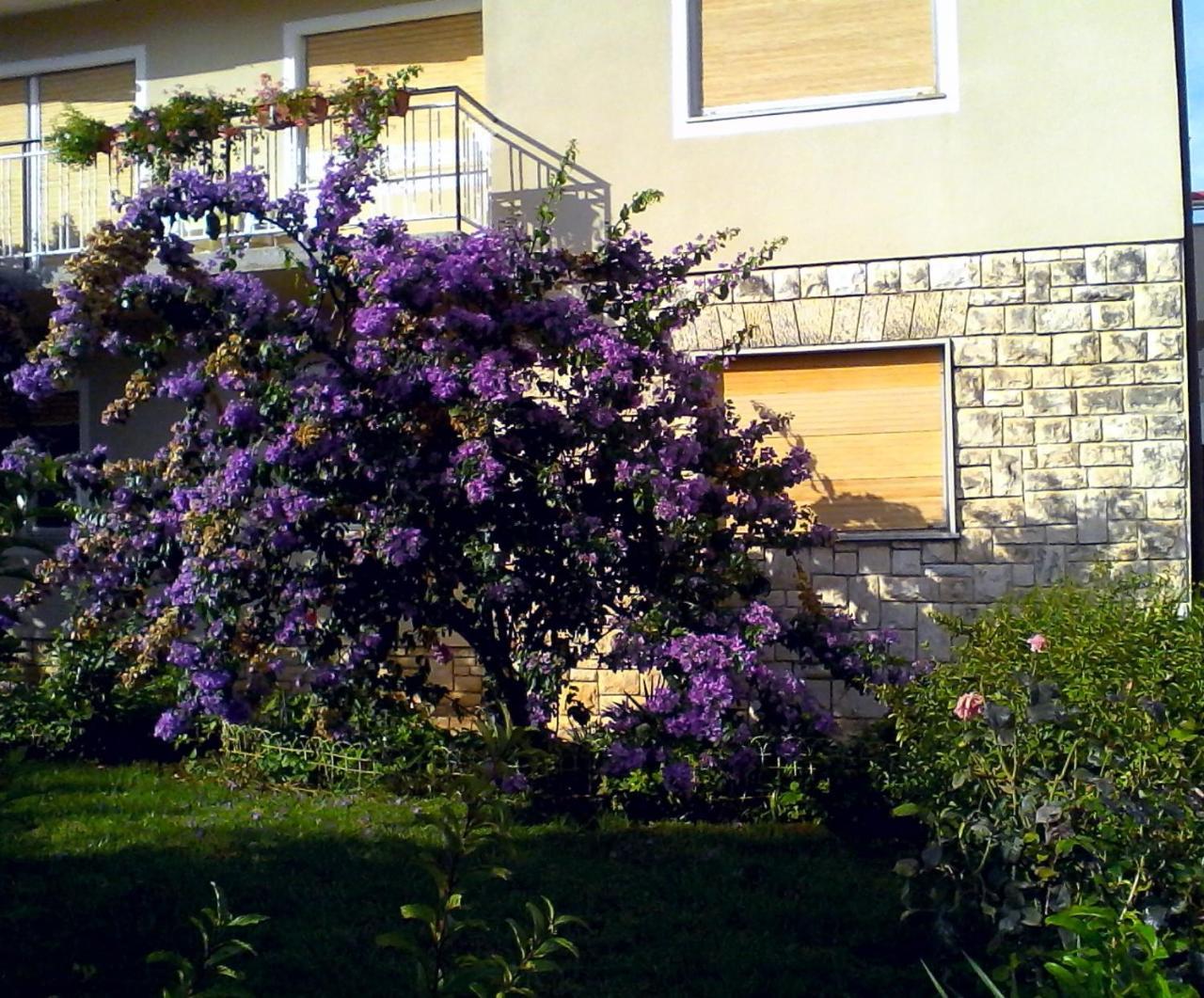 Lovely Apartment In Pomer Exterior photo